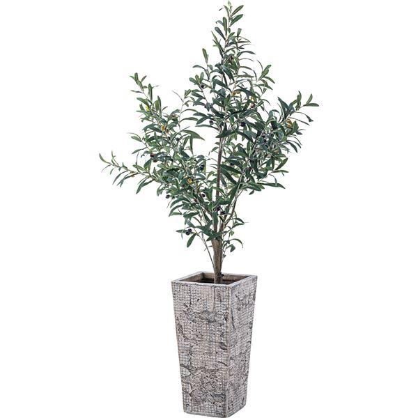 フェイクグリーン 観葉植物 オリーブ 約幅44×奥行44×高さ152cm リビング 店舗 ショップ インテリア雑貨の画像