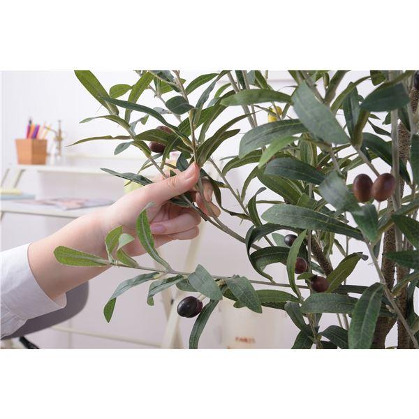 フェイクグリーン 観葉植物 オリーブ 約幅44×奥行44×高さ152cm リビング 店舗 ショップ インテリア雑貨の画像