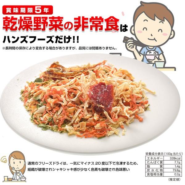 栄養そのまま凝縮保存食「乾燥野菜」5年保存(1袋10g×10袋)〔5個セット〕の画像