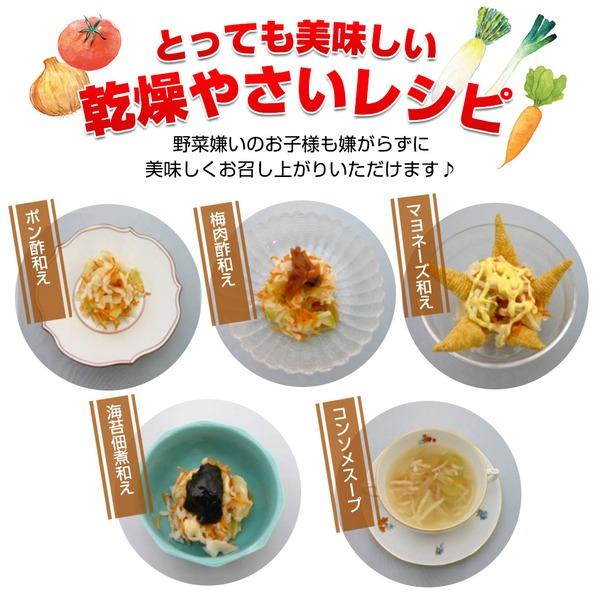 栄養そのまま凝縮保存食「乾燥野菜」5年保存(1袋10g×10袋)〔5個セット〕の画像