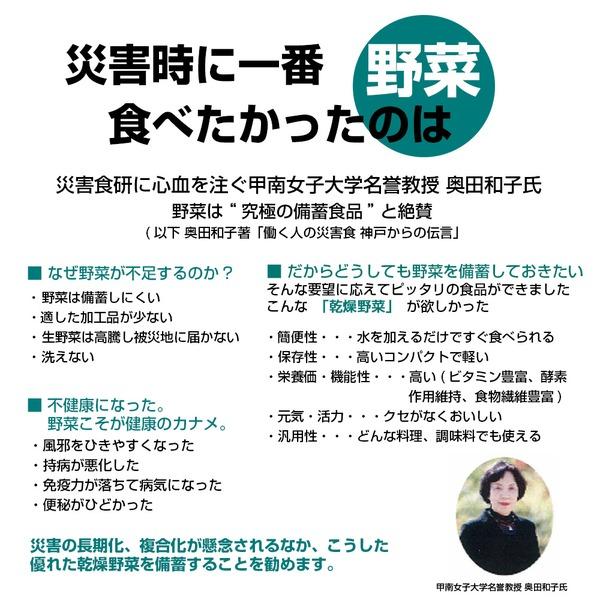 栄養そのまま凝縮保存食「乾燥野菜」5年保存(1袋10g×10袋)〔5個セット〕の画像