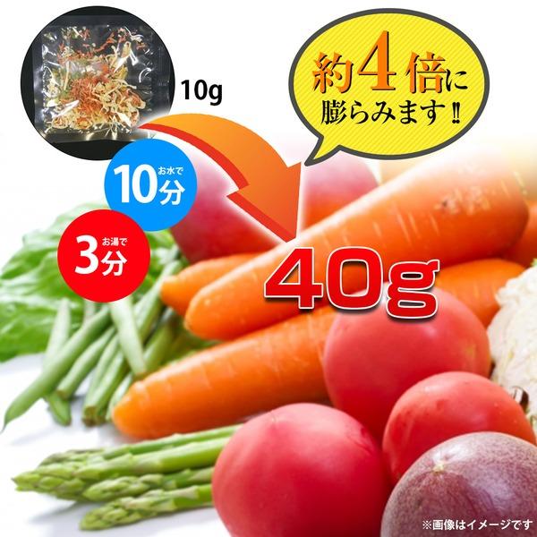 栄養そのまま凝縮保存食「乾燥野菜」5年保存(1袋10g×10袋)〔5個セット〕の画像