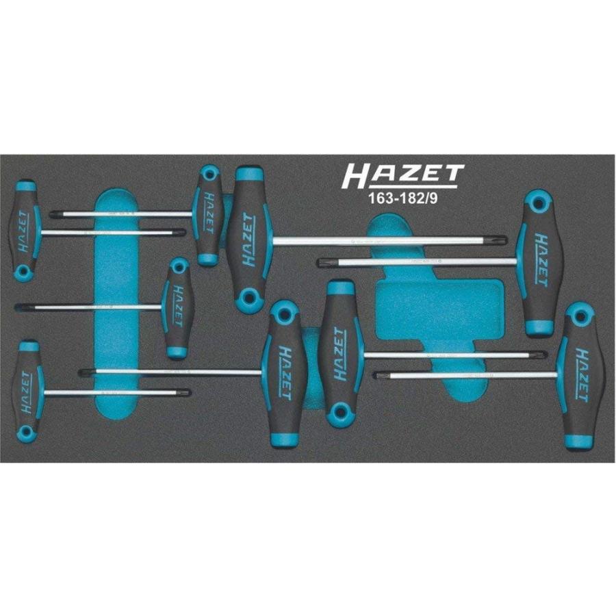 Hazet ハゼット 163-182/9 トルクスドライバー9本セット Tハンドル Safety-Insert-System｜rinkosha