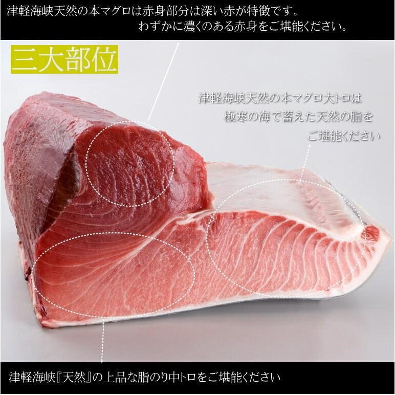 津軽海峡三大産地 本マグロづくし 大トロ80ｇ 中トロ180ｇ 赤身180ｇの総重量440ｇ以上 大間 戸井 松前 三大産地 0007 北の海鮮問屋 鮪斗 通販 Yahoo ショッピング