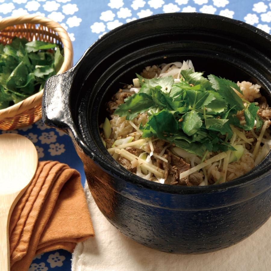 リンナイ 【送料無料】長谷園 専用炊飯土鍋「かまどさん自動炊き リンナイ 【送料無料】長谷園 専用炊飯土鍋「かまどさん自動炊き