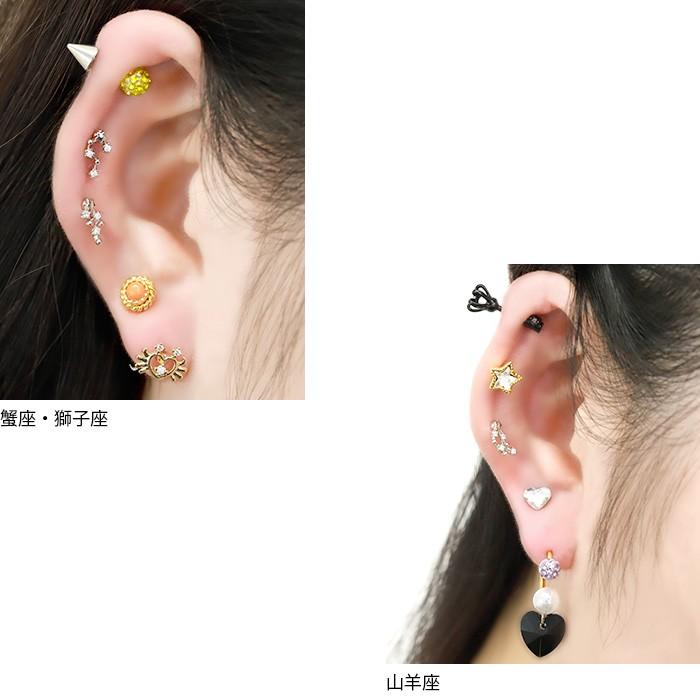 凛 RIN ボディピアス 16G 軟骨 キラキラ 十二星座 スター ストレート