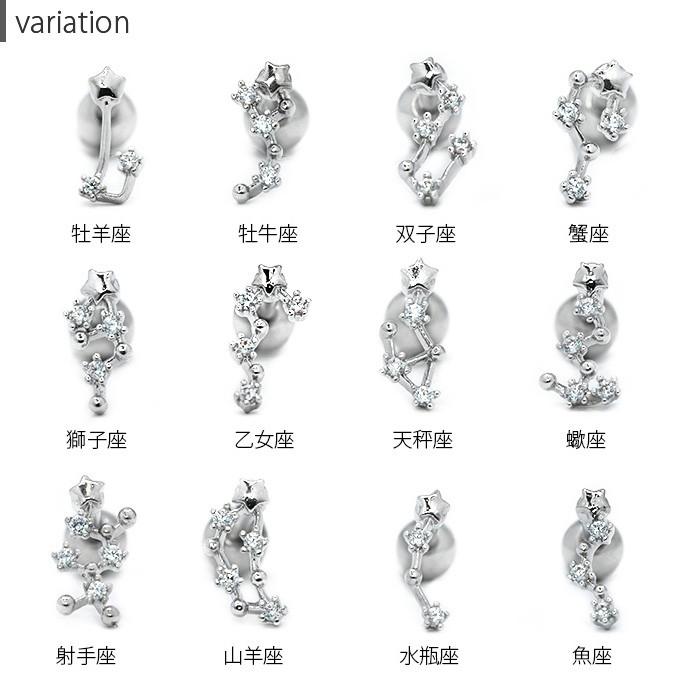 凛 RIN ボディピアス 16G 軟骨 キラキラ 十二星座 スター ストレート