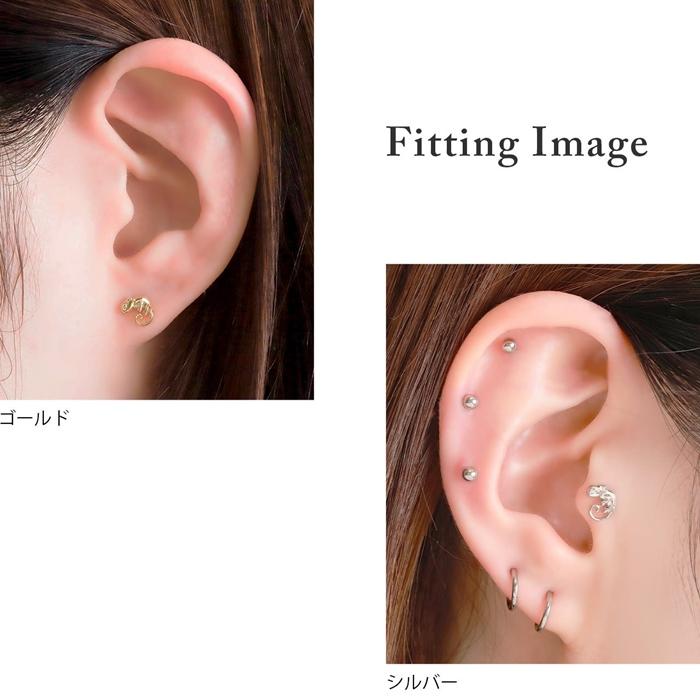 凛 RIN ボディピアス 14G 16G カメレオン 軟骨 爬虫類 は虫類