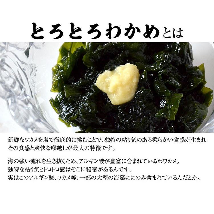 お試し とろとろわかめ 送料無料 250g 3袋セット 秋田県男鹿産 三高水産のトロトロわかめ 冷凍 秋田の麺屋 林泉堂 通販 Yahoo ショッピング