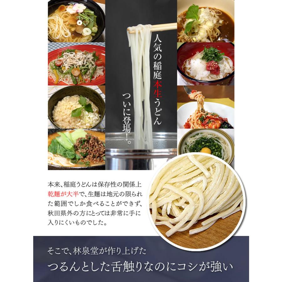 稲庭本生うどん 冷凍 8食 個包装麺 比内地鶏つゆボトル500ml付 秋田名産 林泉堂 りんせんどう モンドセレクション 金賞 稲庭うどん｜rinsendou｜04