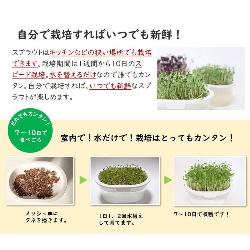 オーガニックの種から育てるスプラウト栽培セット 4種類のスプラウト種付き 014 003 4042 いぶりん商店 通販 Yahoo ショッピング