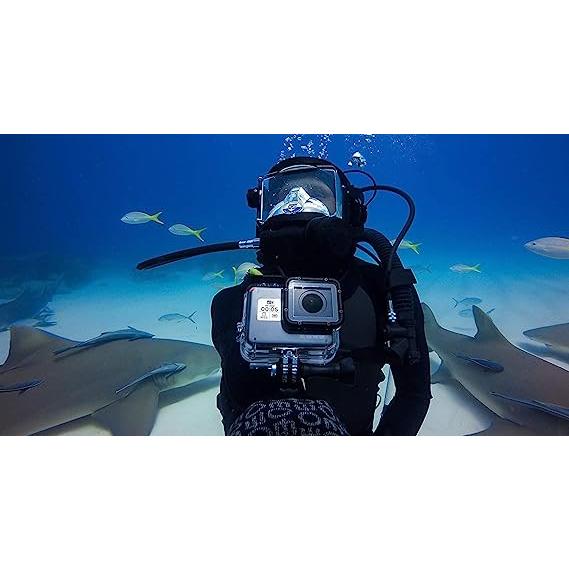 GoPro - GoPro HERO5  ダイビングセット ゴープロ ダイブハウジング HERO5 GOPRO アウトレット AADIV-001 防水