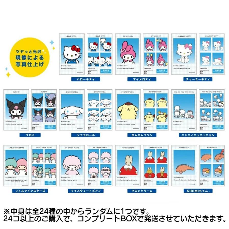 サンリオ シークレット証明写真風スマロイド 1個 全24種 ランダム