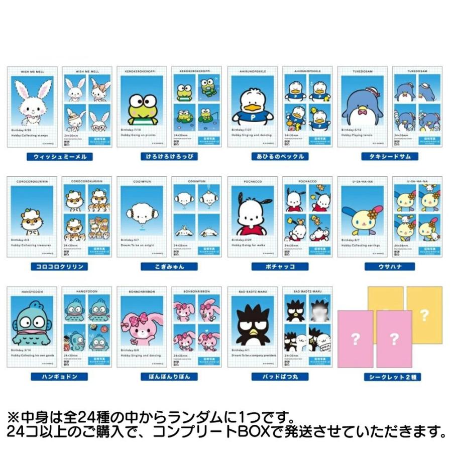 サンリオ シークレット証明写真風スマロイド 1個 全24種 ランダム