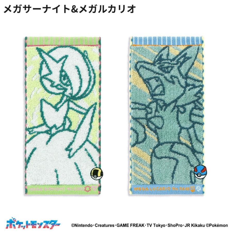 ポケットモンスター ナンバリングペア ハーフタオルハンカチ 2枚セット