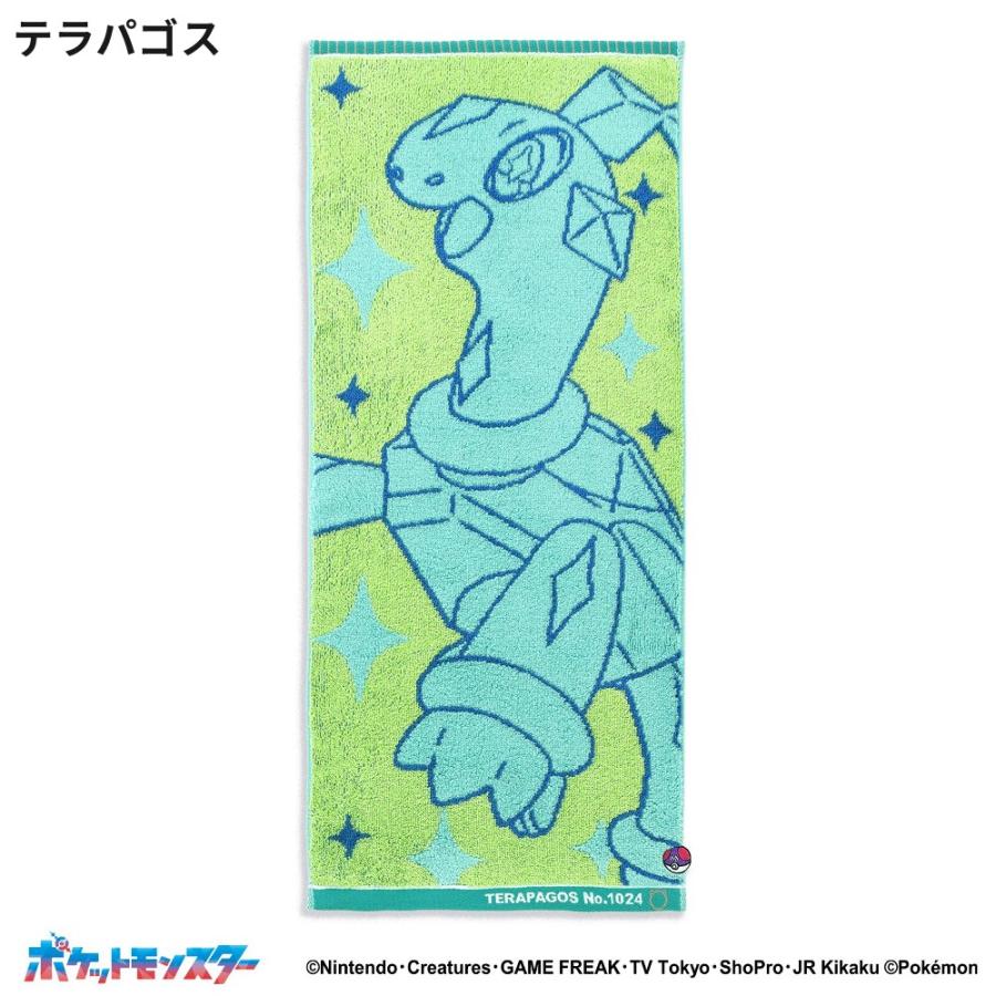 ポケットモンスター ナンバリング フェイスタオル 34×80 綿100 タオル