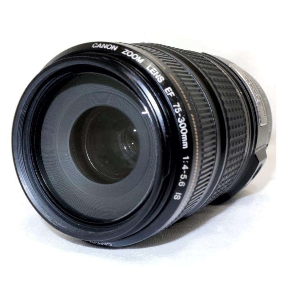 美品》 CANON EF 75-300mm F4-5.6 IS USM 望遠レンズ キャノン k1517