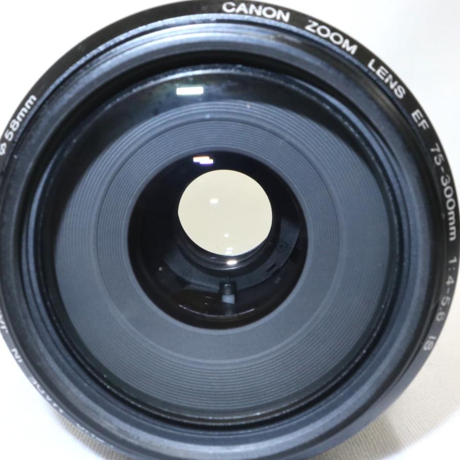 美品》 CANON EF 75-300mm F4-5.6 IS USM 望遠レンズ キャノン k1517