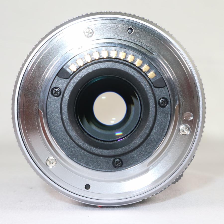 美品》 Panasonic LUMIX G X VARIO PZ 45-175mm F4.0-5.6 ASPH. H