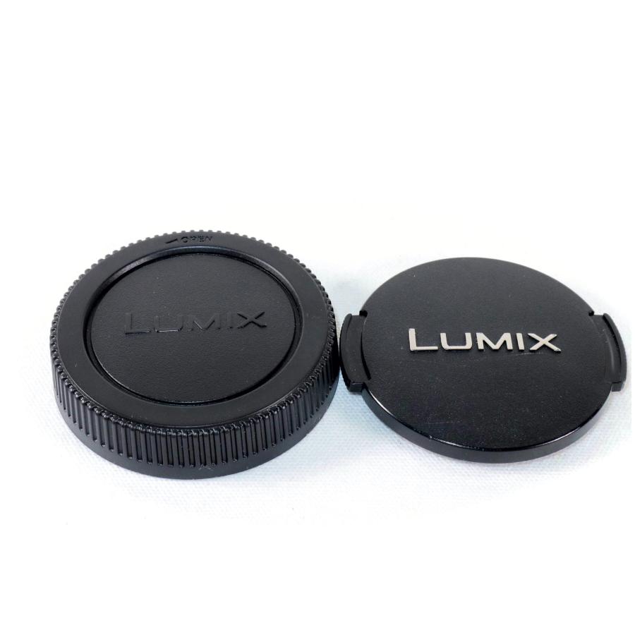 Panasonic LUMIX G 14mm F2.5 ASPH H-H014 グレー パナソニック 単焦点