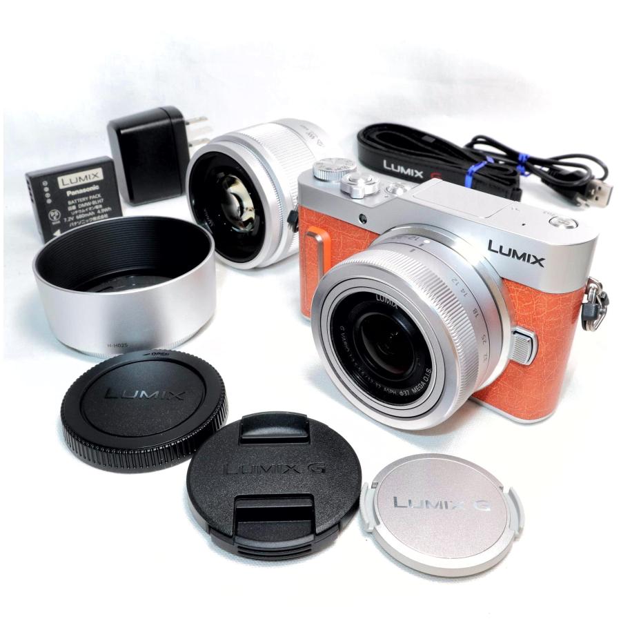 新品級》 ミラーレス一眼 Panasonic LUMIX DC-GF10W ダブルレンズ