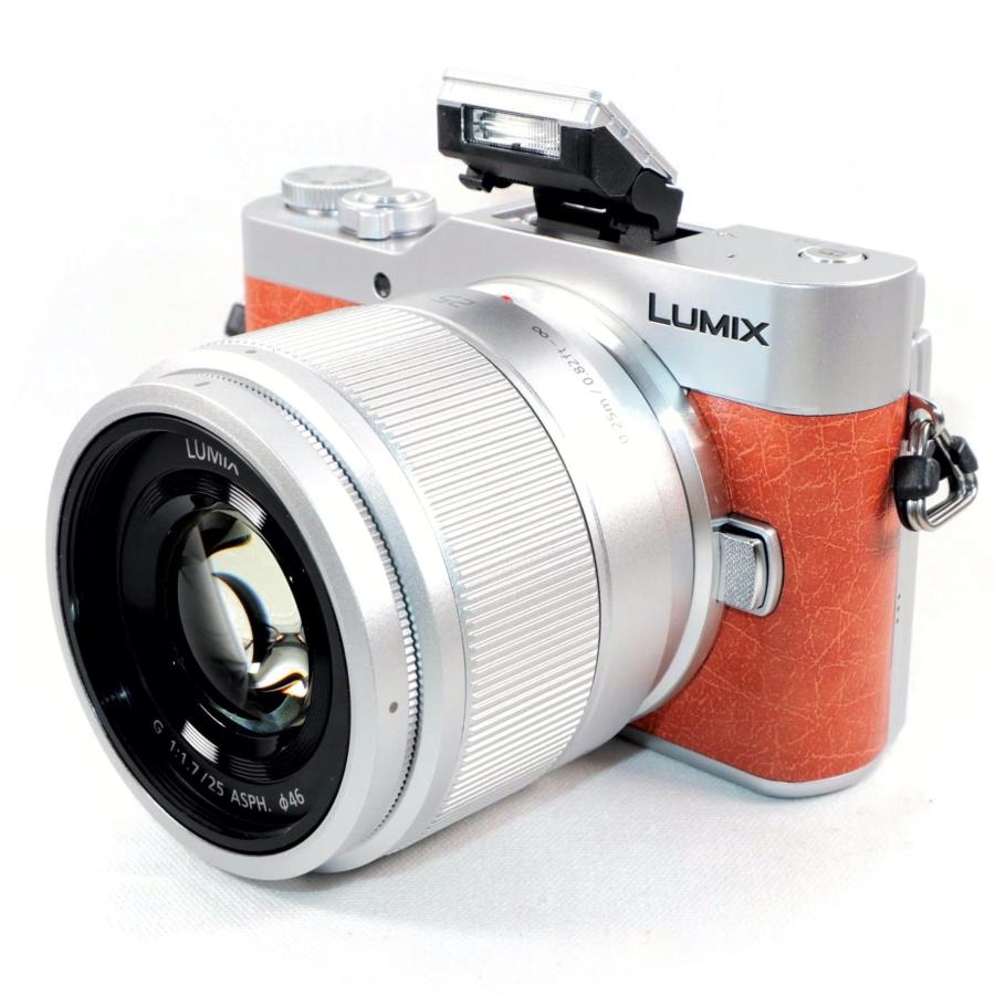 新品級》 ミラーレス一眼 Panasonic LUMIX DC-GF10W ダブルレンズ