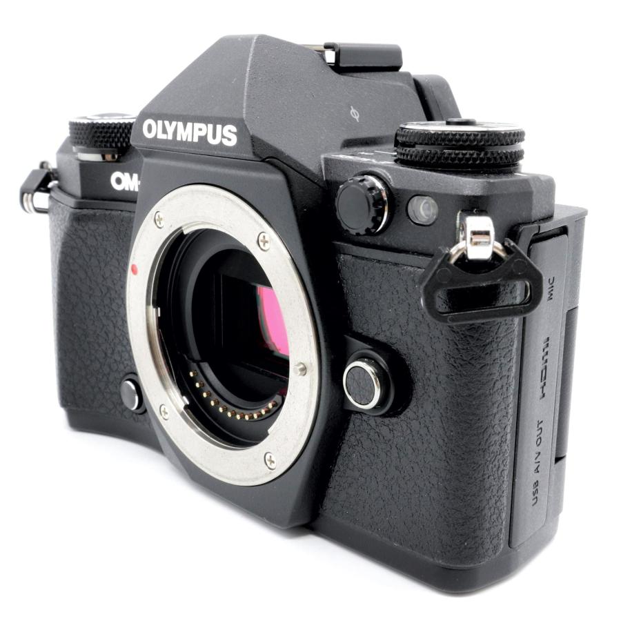 極上美品 S数1630回》 ミラーレス一眼 OM-D E-M5 MarkII ボディ