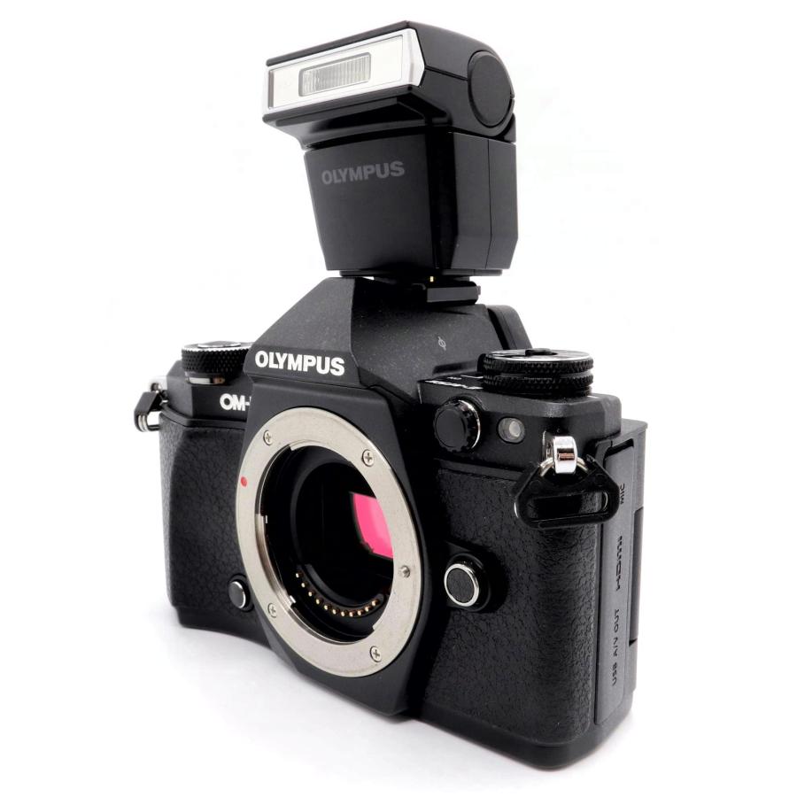 極上美品 S数1630回》 ミラーレス一眼 OM-D E-M5 MarkII ボディ