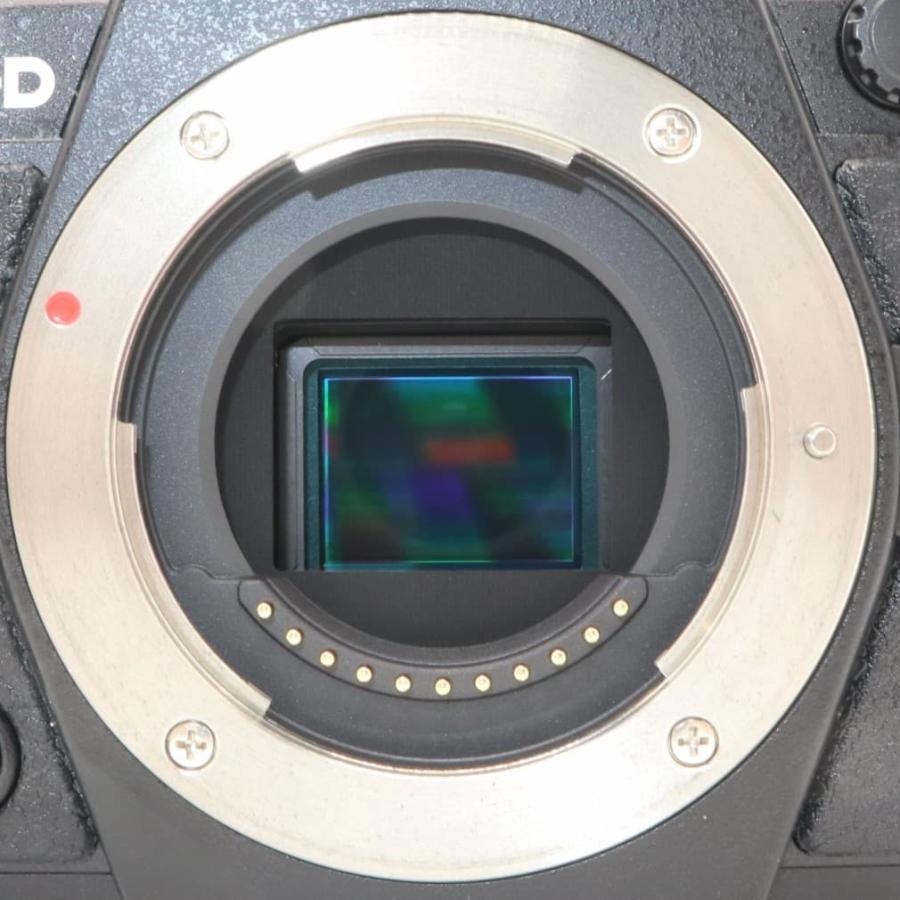 極上美品 S数1630回》 ミラーレス一眼 OM-D E-M5 MarkII ボディ