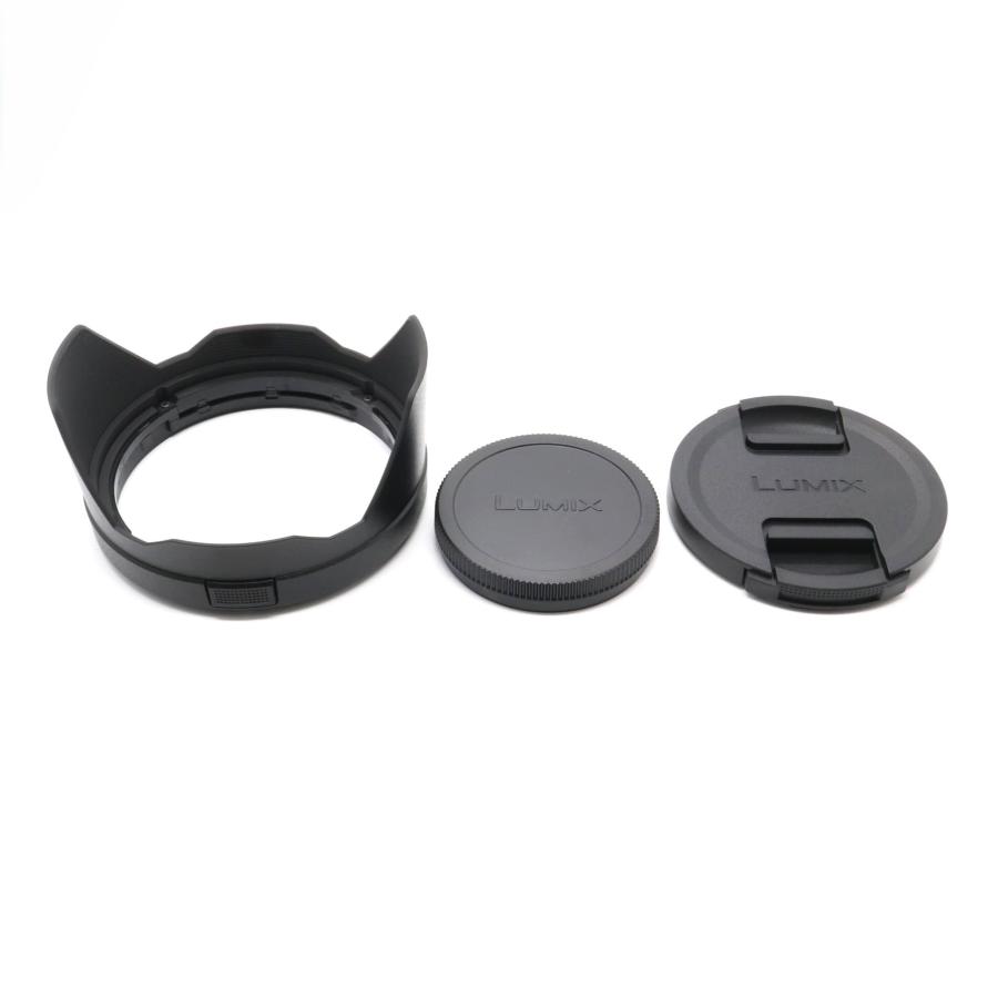 新品級》 Panasonic LUMIX S 24-105mm F4 MACRO O.I.S. S-R24105 L