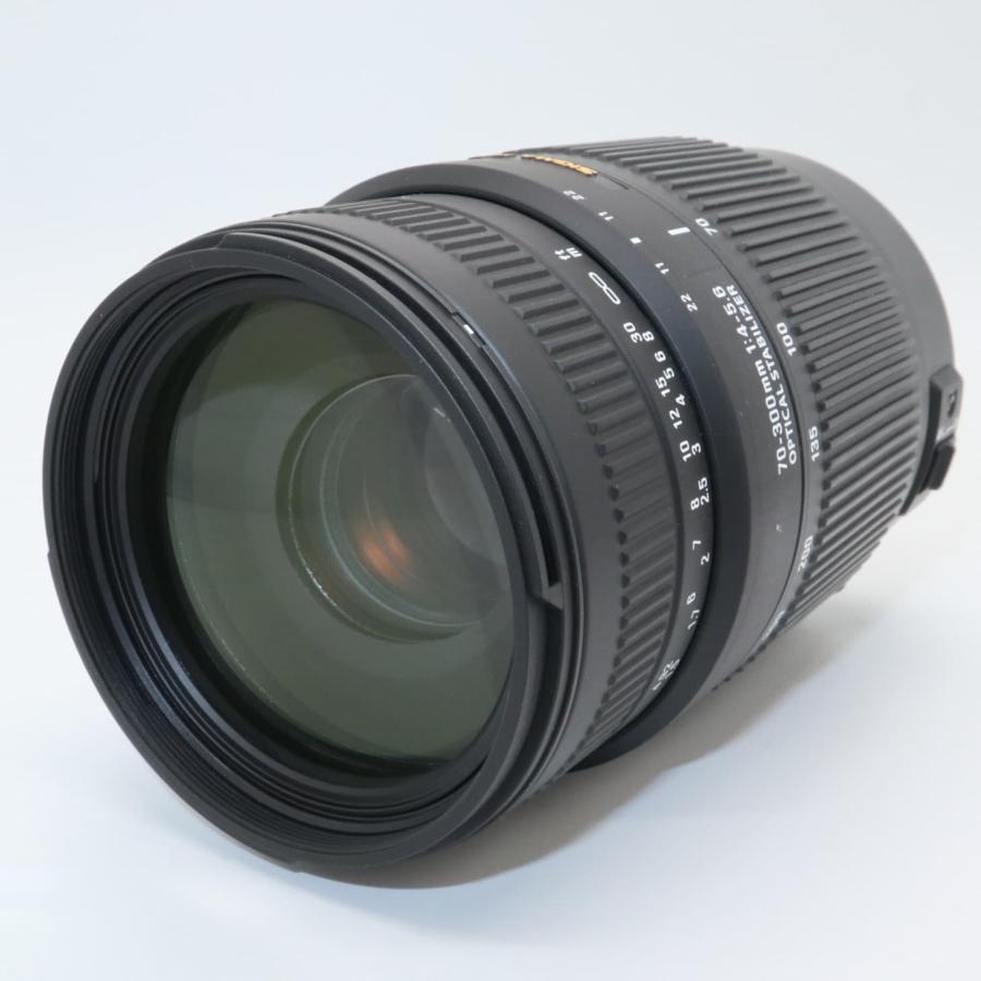 望遠レンズ 手振れ補正 SIGMA 70-300mm F4.5-5.6 DG OS シグマ