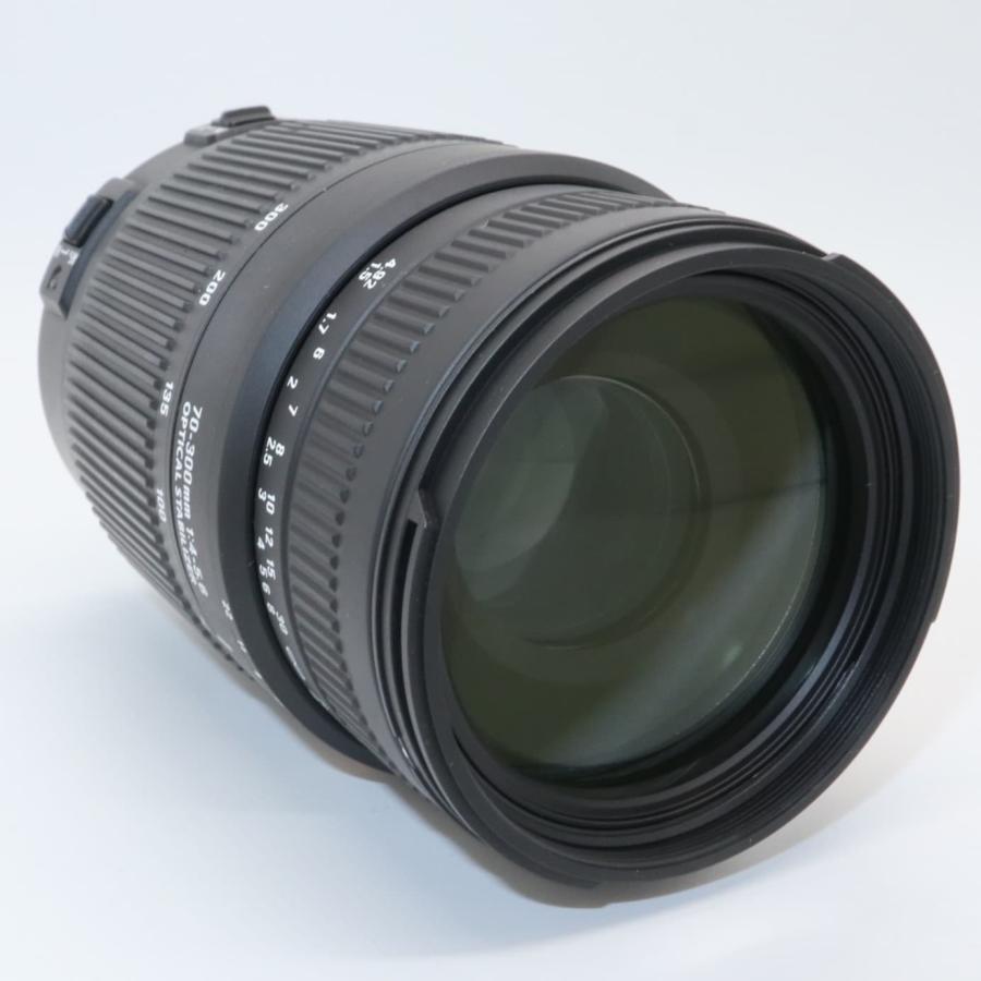 SIGMA EFマウント　望遠レンズ Amazon | Sigma 150-600mm f/5.0-6.3 コンテンポラリー Canon EFカメラ