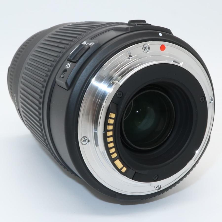 望遠レンズ 手振れ補正 SIGMA 70-300mm F4.5-5.6 DG OS シグマ