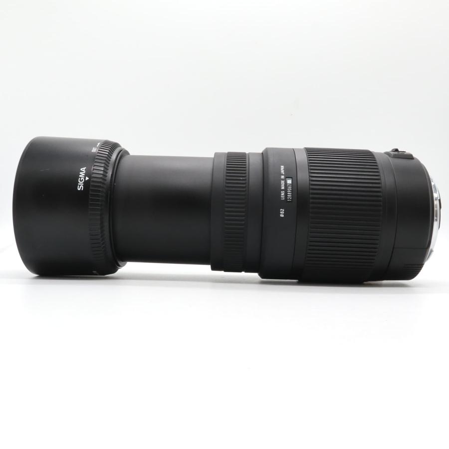 ❤️お得❤️キャノン用❤️75-300mm❤️超望遠❤️ズームレンズ ❤️SIGMA シグマの望遠レンズのおすすめ人気ランキング【2026年1月】 | マイベスト