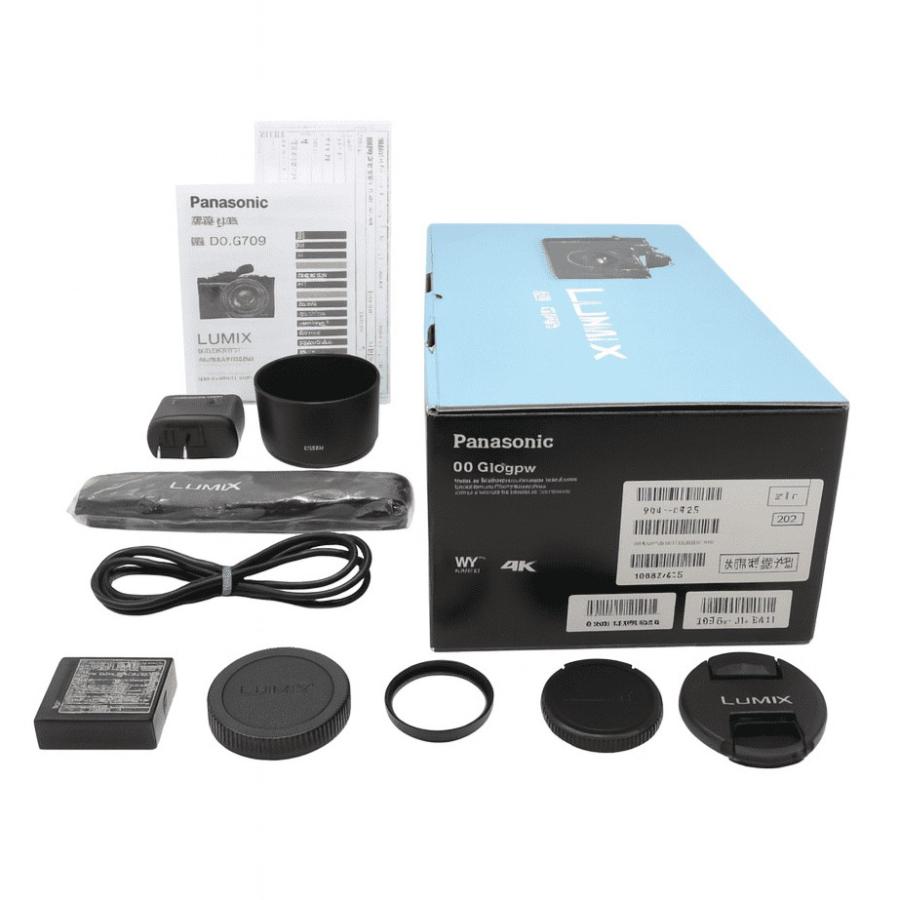 新品級 S数435》 ミラーレス一眼カメラ Panasonic DC-G100DW-K ダブル