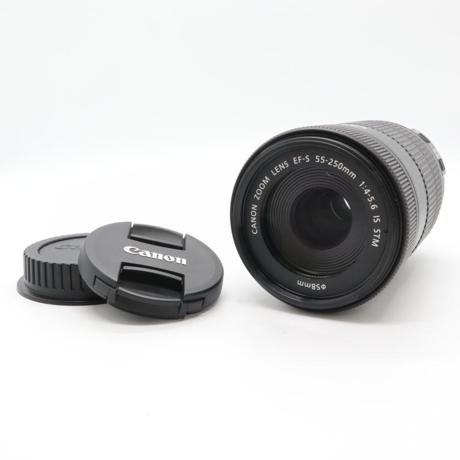 極上美品 S数6000以下》 デジタル一眼レフカメラ CANON EOS Kiss X10i