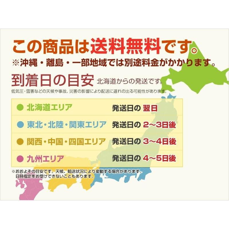 防水 スノーブーツ 4e メンズ 防寒 雪 鉄ピン スパイク ダンロップ Cf 019 防滑 ビジネスブーツ ガラス繊維 冬靴 Dunlop コンフォートウォーカー Dunlop019bk Rio Footwear 通販 Yahoo ショッピング