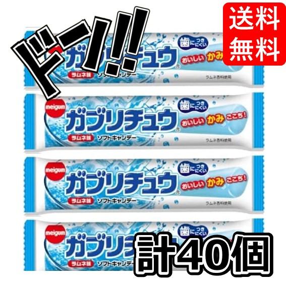 5のつく日限定クーポン付！】ガブリチュウ まとめ買い40袋 明治