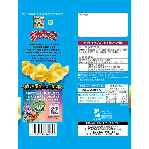 湖池屋 小袋ポテトチップス うすしお味 28g×24袋 お菓子 スナック
