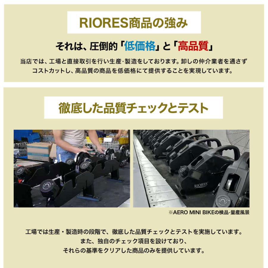 RIORES（リオレス） エアロミニバイク コンパクト 家庭用 健康器具