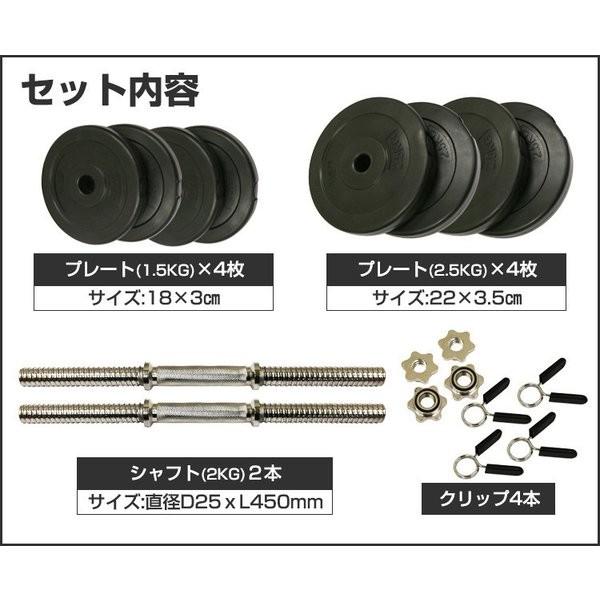 RIORES（リオレス） フラットベンチ セメントダンベル 10kg x2個 20kg