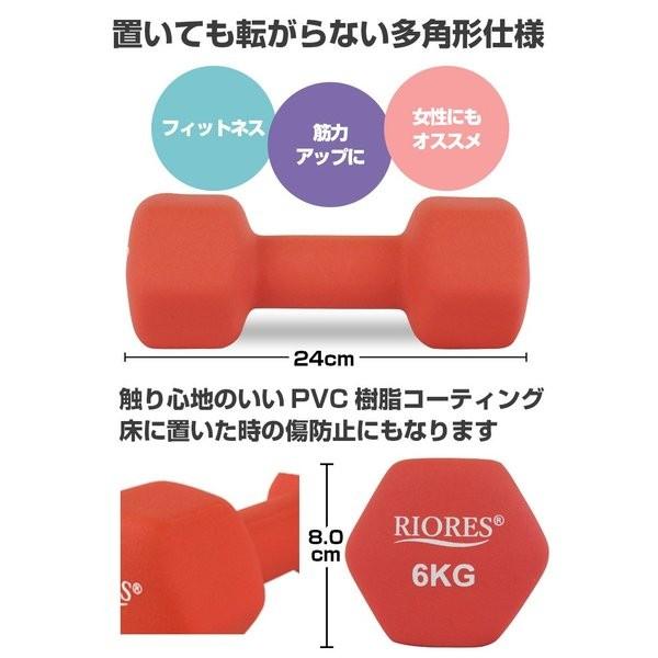 RIORES（リオレス） ダンベル 6kg エクササイズ フィットネス