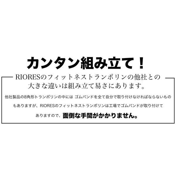 【訳アリ】 トランポリン ダイエット ゴム おりたたみ式 静音 ジム 子供用 大人用 100kg 122cm 家庭用 フィットネス 小さな汚れ 小傷 錆びあり | RIORES | 07