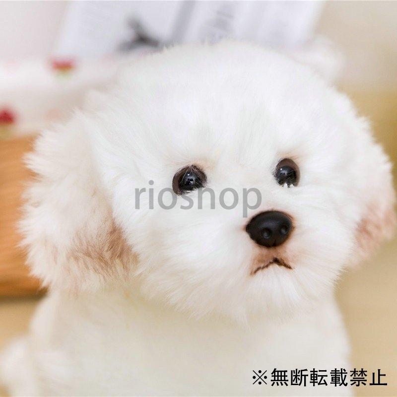 ぬいぐるみ 犬 38cm 可愛い マルチーズ人形 抱き枕 癒し ペット 愛犬 子供 インテリア 寝室 リビング ベッド 飾り 小型 Kien Toy Rioshop 通販 Yahoo ショッピング