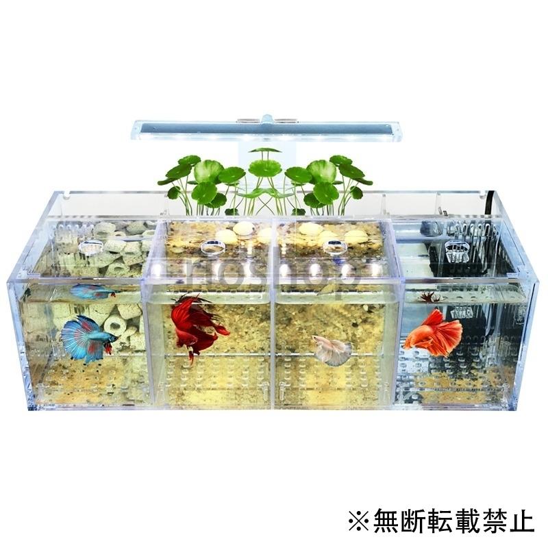 予約販売品 水槽 Betta ベタ ペット 魚飼育用の アクリル 小さい 分離の 魚飼育用の水槽 自由な水ポンプ 38 1x14 6x12cm 速達メール便 Location Lacordee Fr