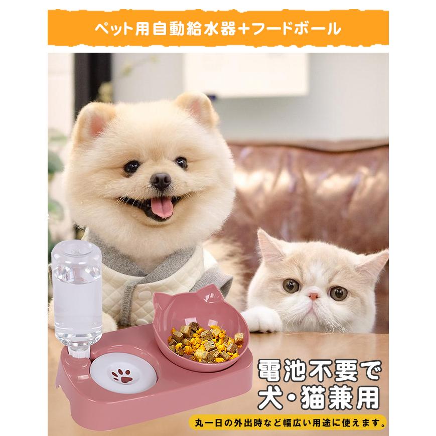 爆買WEEK 自動給水器＋フードボール 給餌器 猫 犬 給水器 水飲み器