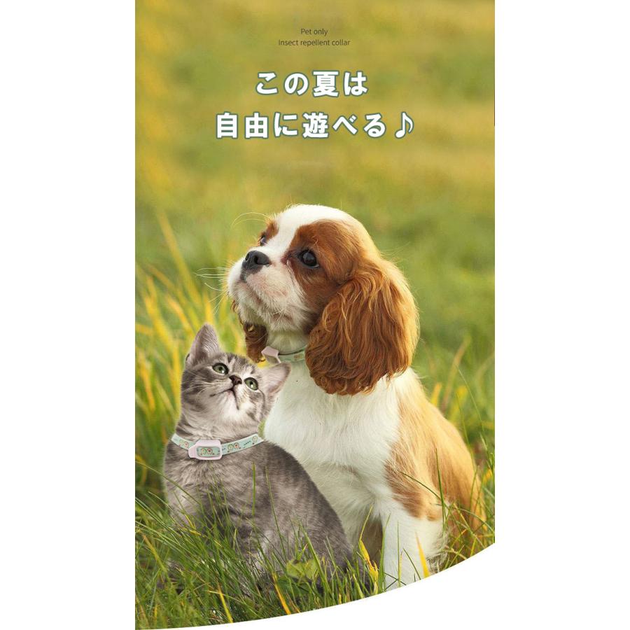メール便無料 ペット用品 虫よけ 首輪 ノミ除け 蚊よけ 寄生虫よけ 防虫 犬猫兼用 一部即納 Aynaelda Com