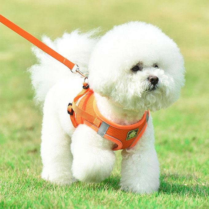 犬 猫 ハーネス 胴輪 リード付き セット 負担の少ない ハーネスリード