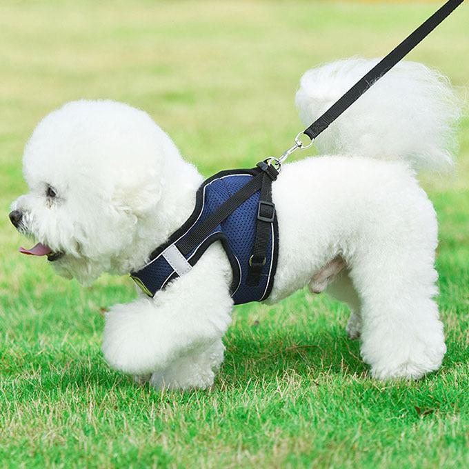 犬 猫 ハーネス 胴輪 リード付き セット 負担の少ない ハーネスリード