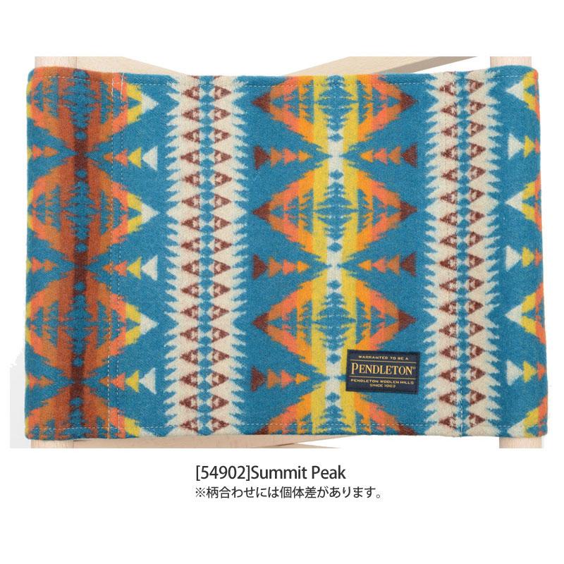 PENDLETON ペンドルトン アディロンダック ADIRONDACK キャンプ PENDLETON ペンドルトン アディロンダック ADIRONDACK キャンプ